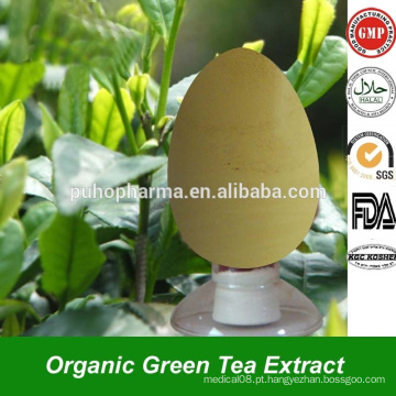 Premium Instant Green Tea Extract Powder EGCG Catechin Polyphenol em Steviosides a granel para extrato de chá verde antioxidante